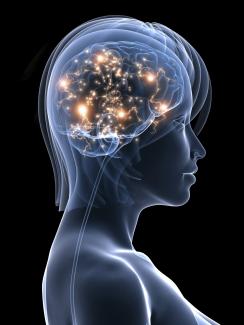 Active brain (iStock) Active brain